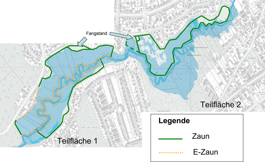 Karte – Wasserbüffel am Tegeler Fließ